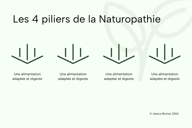 Infographie sur les 4 piliers de la naturopathie - Jessica Bonnel